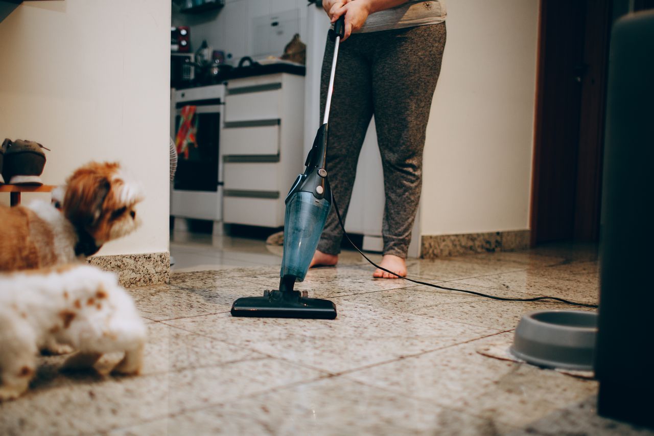 A woman vacuuming the floor while a dog looks on attentively. Indoor home setting.